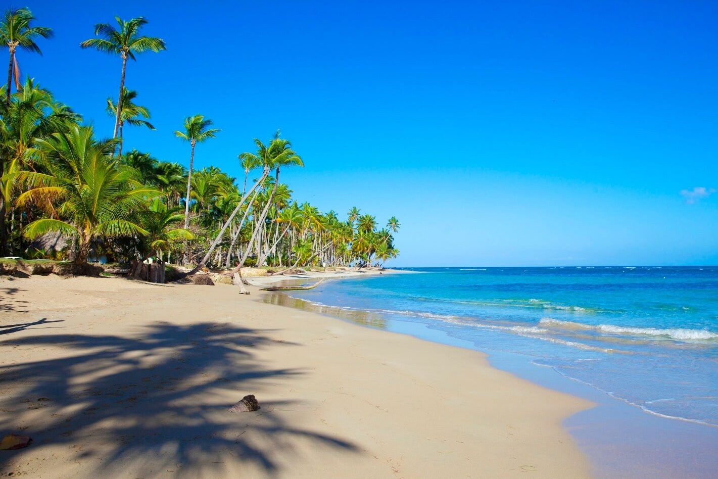 playa bonita 2